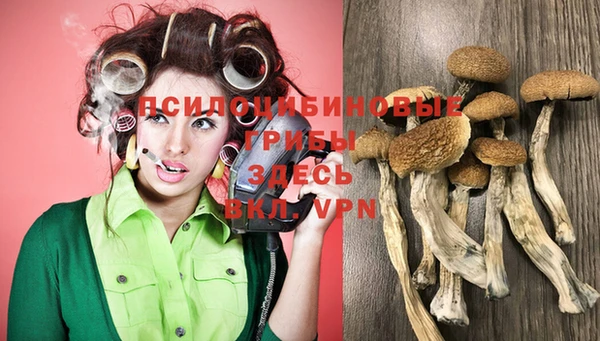 бошки Осташков
