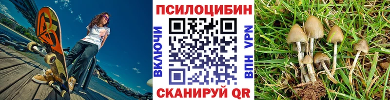 хочу наркоту  Абдулино  Галлюциногенные грибы ЛСД 